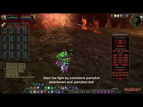 SoloCraft.org - Majordomo Executus Solo Kill