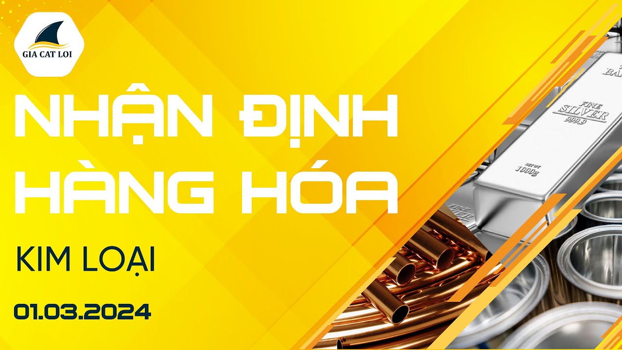 Nhận Định Hàng Hoá Kim Loại Ngày 01/03/2024