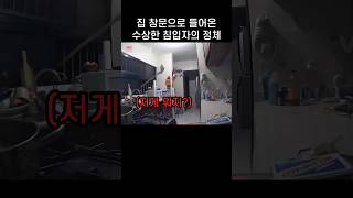 Download lagu '저게 대체 뭐지?..' 한밤중 창문으로 슬며시 들어온 정체불명 물체 mp3 Download lagu '저게 대체 뭐지?..' 한밤중 창문으로 슬며시 들어온 정체불명 물체 mp3