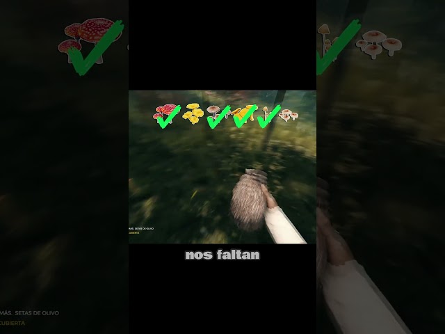 Vídeo relacionado con The Barrens ( The Forest ) [ Origen Francés, Ningun Idioma Espanol ]