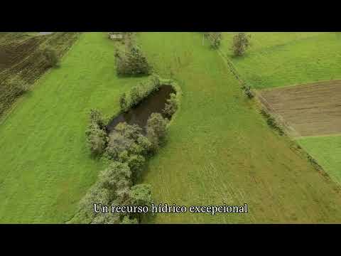 FINCA En VENTA - Finca La Bendición - Sesquile