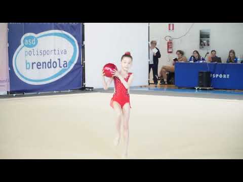 SERIE D LC ALLIEVE   1 Squadra   SUCCESSIONE