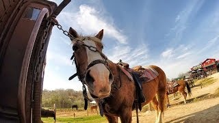 preview picture of video 'Horseback Riding Greece GoPro'