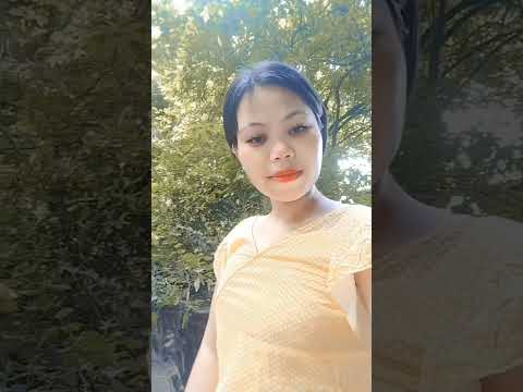 TongHaam waterfall 🌊 Dima Hasao Assam 💦🌊