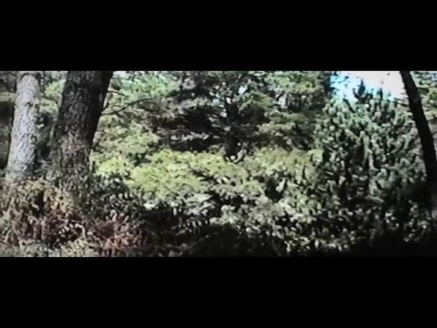 Curtis Heron - Why Do They Do It (Feat. Bones)