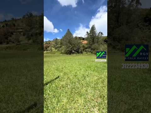 Lote Campestre en Venta San Vicente Ferrer, Ant | 5.000 m² | Terreno Plano | Agua de Nacimiento