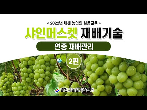 2022년 새해 농업인 실용교육(샤인머스켓 재배기술 02)-연중 재배관리