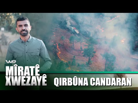 سەیری ڤیدیۆکە بکەن .. Mîratê Xwezayê - Qirbûna Candaran | میراتێ خوەزایێ - قڕبوونا گیانەوەران