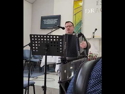 Adrian Falub Pe Marea Vietii Nimigea Romania