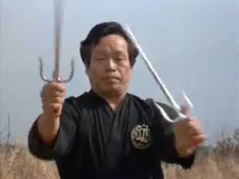 Kobudo com Sensei Soke Teruo Hayashi