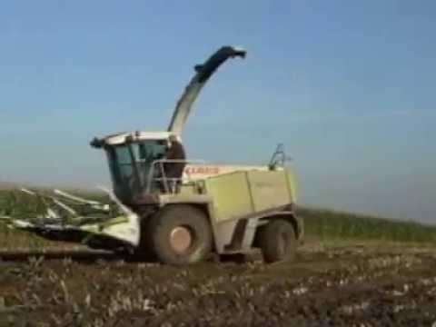 Vergauwe K&P. Mais hakselen.