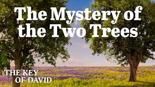 The Mystery of the Two Trees