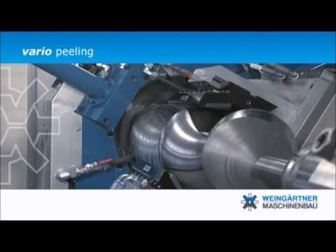 Weingärtner vario 1000 monster Exzenterschneckenpumpe rotor Schälen