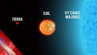 NO CREERÁS LO PEQUEÑOS QUE SOMOS