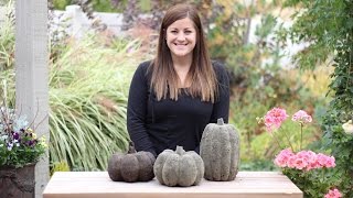 DIY Concrete Pumpkins for Fall