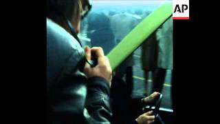 Download lagu SYND 22 10 74 NATO SECRETARY GENERAL JOSEPH LUNS TESTS POLLUTION FREE CAR IN BRUSSELS mp3