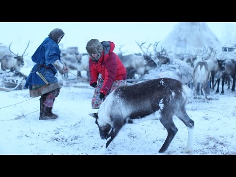 Living With Nomads Documentary Kate Humble Thevirtualtour Living With Nomads Documentary Kate Humble Thevirtualtour