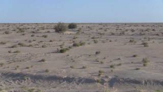 preview picture of video 'Pray4Tunisia - Region of Kebili, Tunisia 001'