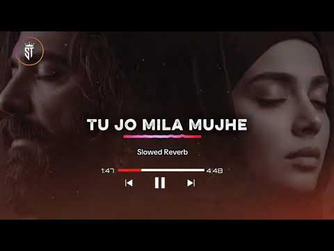 TU Jo Mila mujhe❤️🎧❤️full saraiki trending Song