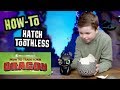 How To Train Your Dragon How To Play With Toothless