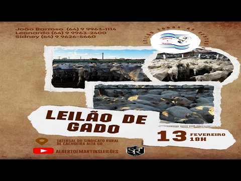 LEILÃO ALBERTO e MARTINS 13/02/2026 AS 18:00 hs em Cachoeira Alta Go.