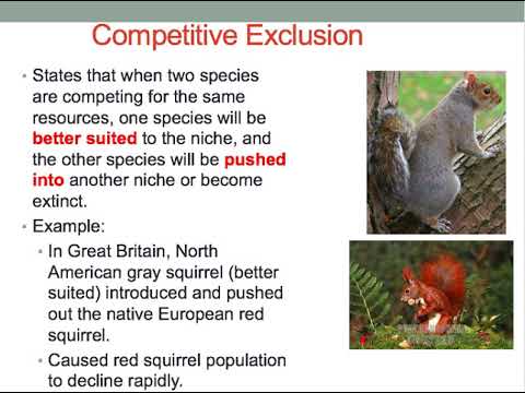 Chapter 14 Interactions in Ecosystem 1