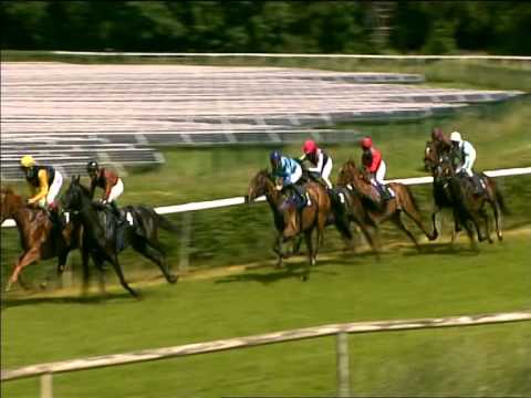Galopprennbahn Dresden - 30.05.2015 - 1.Rennen