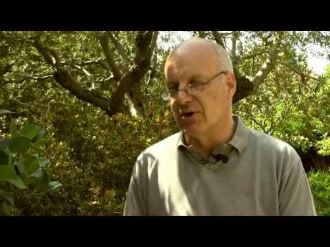 L'Humanité en Guerre : Nick Danziger, photographe (33)