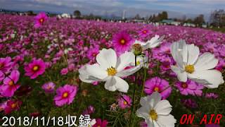 結月ゆかりのスーパームーンラジオ2018/11/18収録