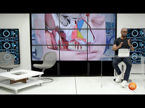 TechTalk With Solomon S25 E5 - ግሩምና ድንቅ አፈጣጠራችን - የመጨረሻው ክፍል 4