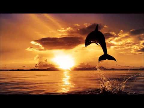 Alexandros Djkevingr feat. Nico V & Themis P - Kingdom Of Parsley (Christos Fourkis Mix)