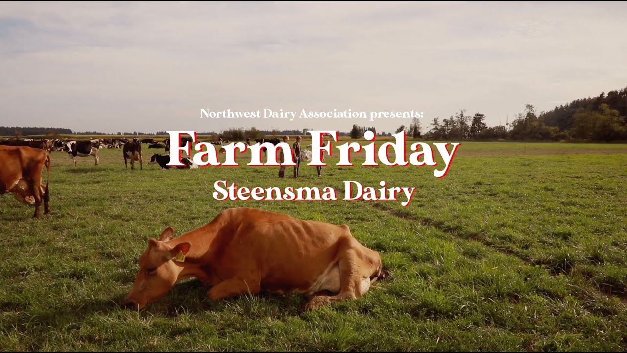 Farm Friday: Steensma Dairy