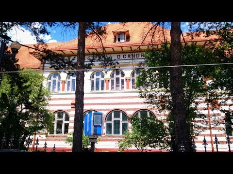 Pulsul Dornelor | Săptămâna „Școala Altfel” la Liceul Tehnologic din comuna Dorna Candrenilor