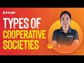 Types Of Cooperative Societies Xylem Plus One Commerce