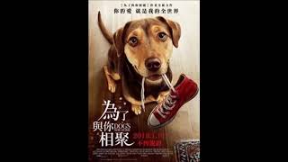 A dog&#39;s way home (為了與你相聚)-ida redig everywhere