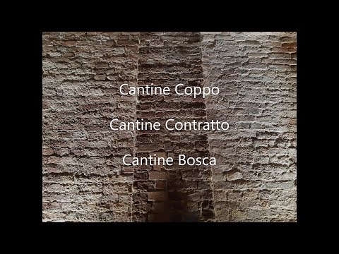 Canelli (AT) e le Cantine