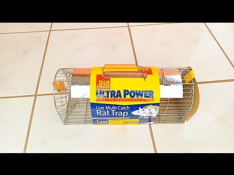 unboxing and reviewing big cheese ultra power rat trap || A.M creative