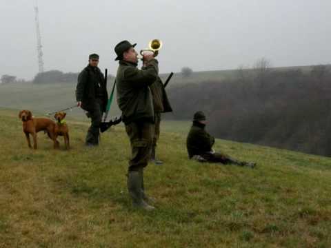 Trubač oznamuje začátek leče