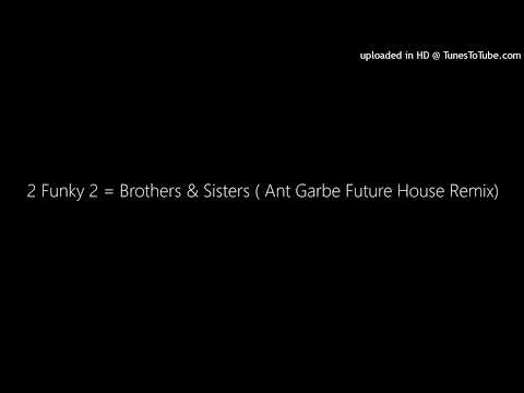 2 Funky 2 = Brothers & Sisters ( Ant Garbe Future House Remix)