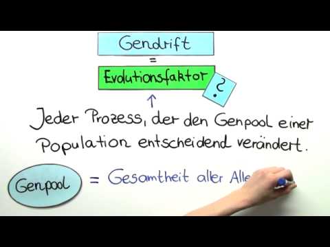 Gendrift | Biologie | Evolution