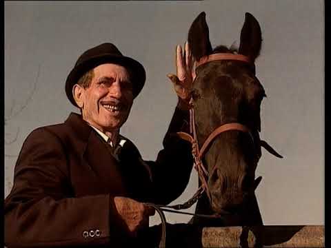 Zlatni dukati - Vranac (Official video)