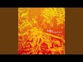 Shipwreck Glue [Wes Coats Remix]
