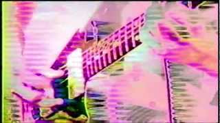 Gary Condit Music Video