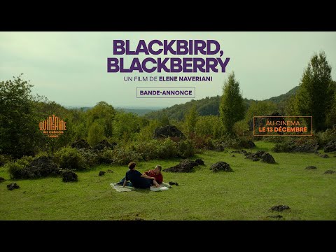 Blackbird, Blackberry - bande annonce Capricci