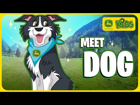 Fun Jobs For Dogs On The Farm! 🐕 | John Deere Kids