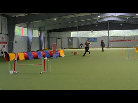 Eep | 10.07.21 | Agility-Turnier BHH (A1)