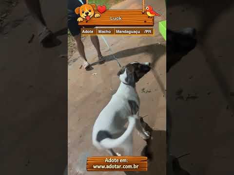 Vídeo de Luck