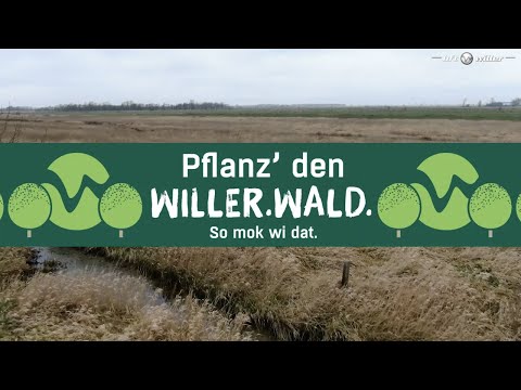 Der Willer-Wald - So mok wi dat!