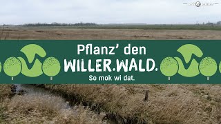 Der Willer-Wald - So mok wi dat!