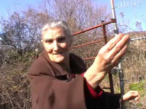 ROSCIGNO VECCHIA MIA MADRE